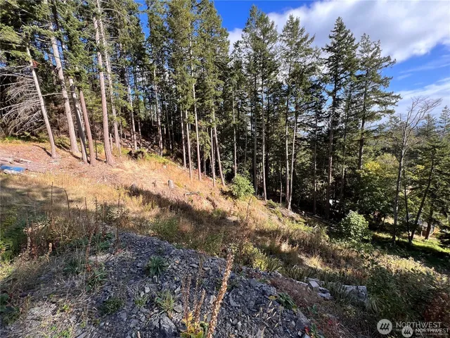 a view of a covered with trees