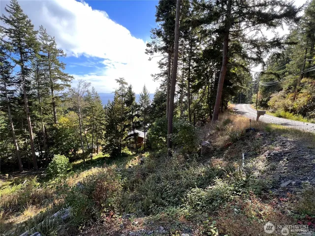 a view of yard with green space