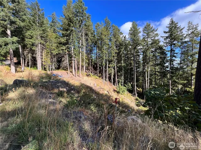 a view of a yard with plants and tree