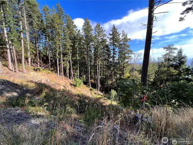 a picture of a person on a street