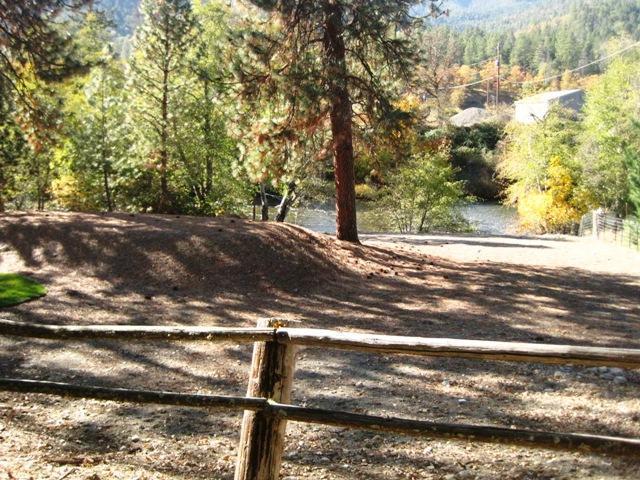 196 Eastside Road Jacksonville, OR 97530 - Photo 5 of 22 a view of a yard with an tree