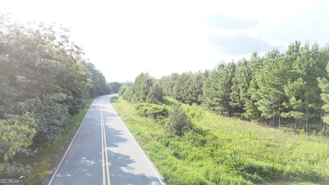 a view of a pathway both side of yard