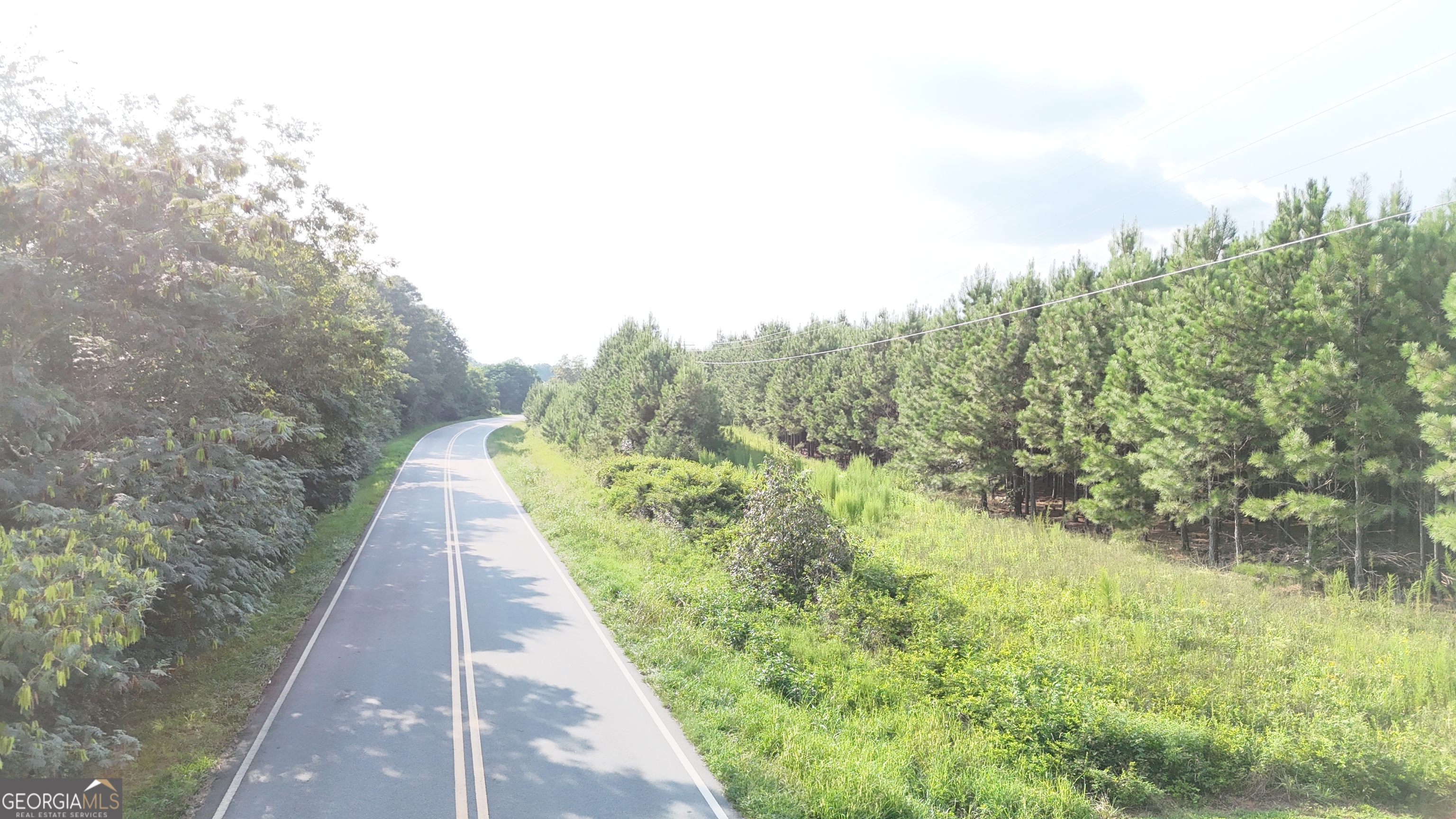 a view of a pathway both side of yard