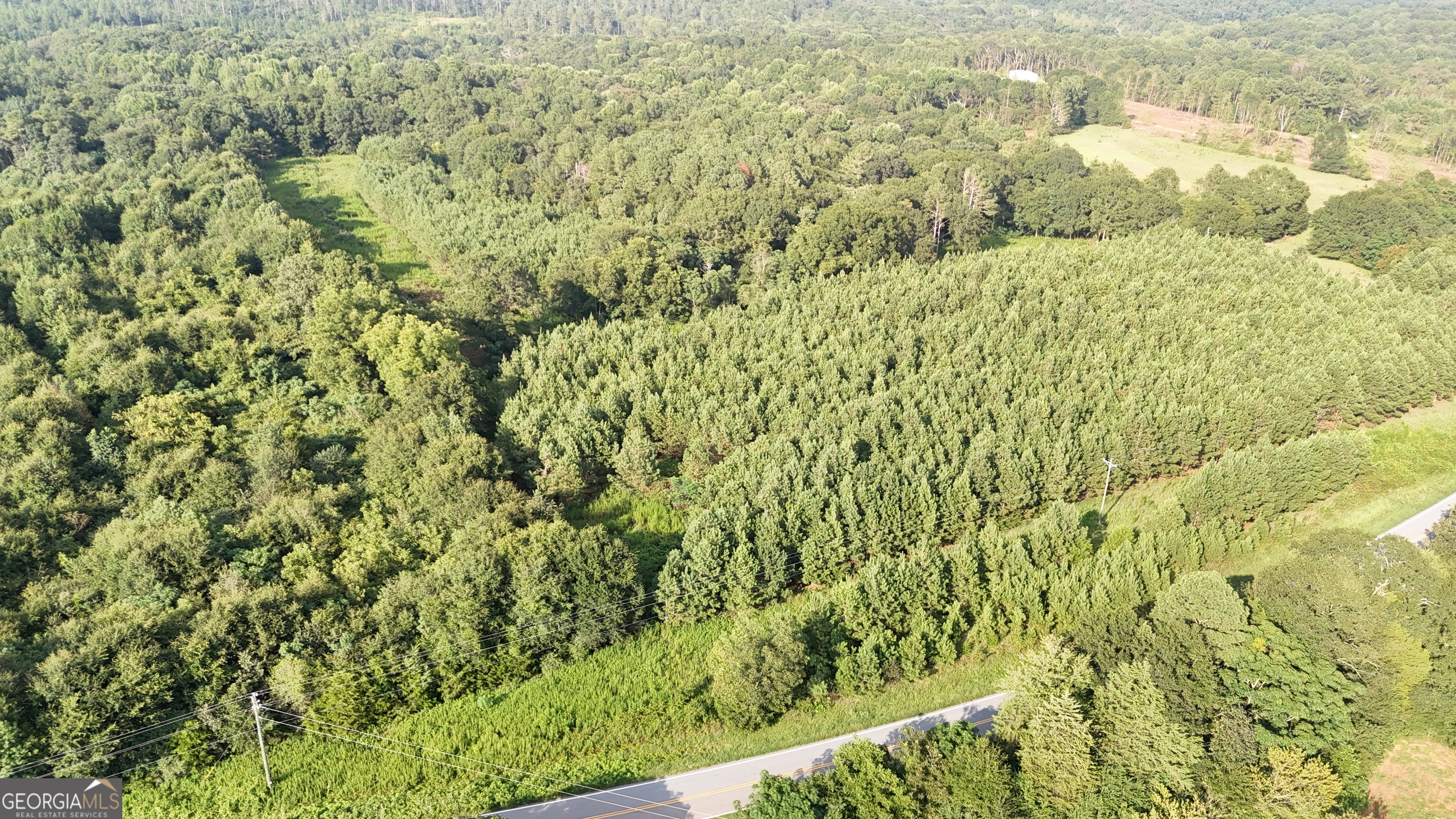 0 Pulliam Mill Road Dewy Rose, GA 30634 - Photo 3 of 9 a view of a yard with large trees