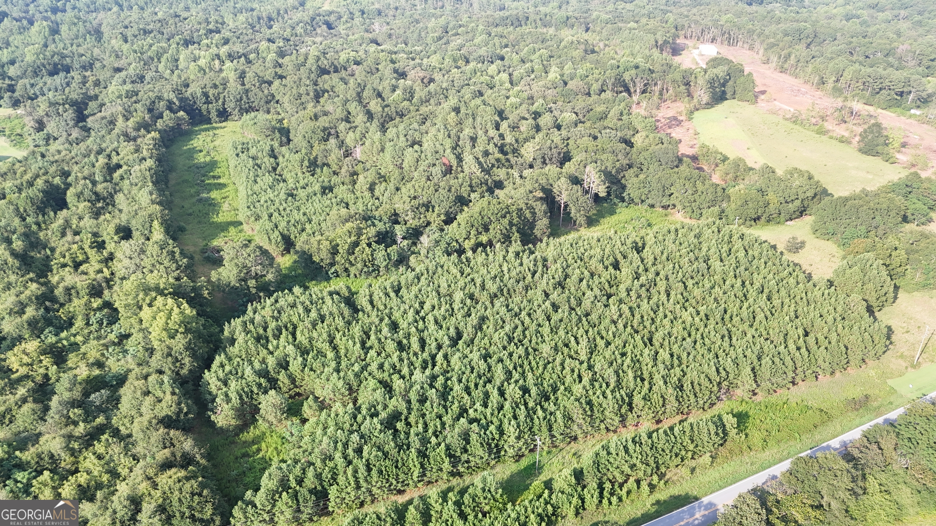 0 Pulliam Mill Road Dewy Rose, GA 30634 - Photo 4 of 9 a close up of a plant in a garden