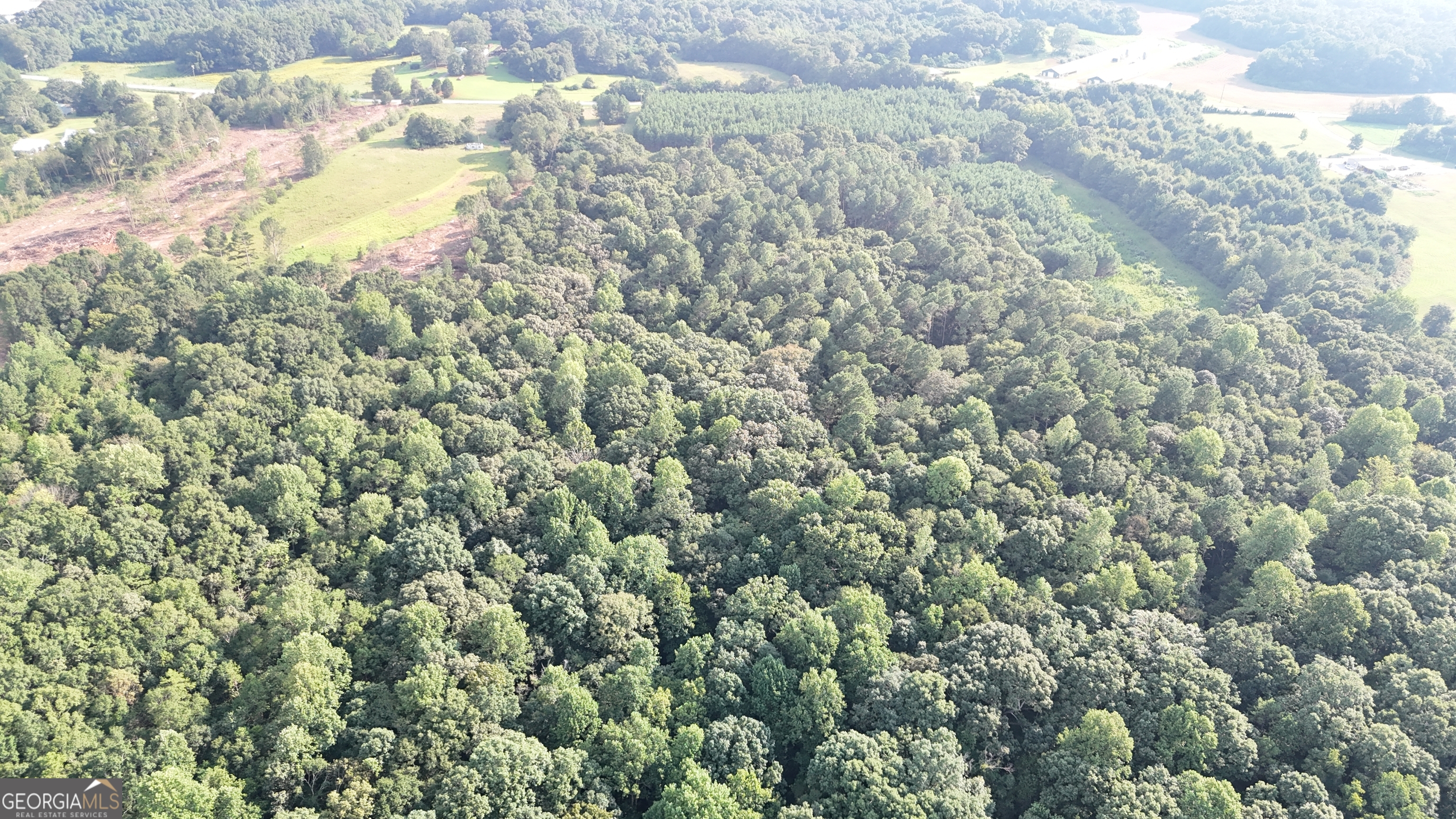 0 Pulliam Mill Road Dewy Rose, GA 30634 - Photo 6 of 9 a close up of a plant in a field