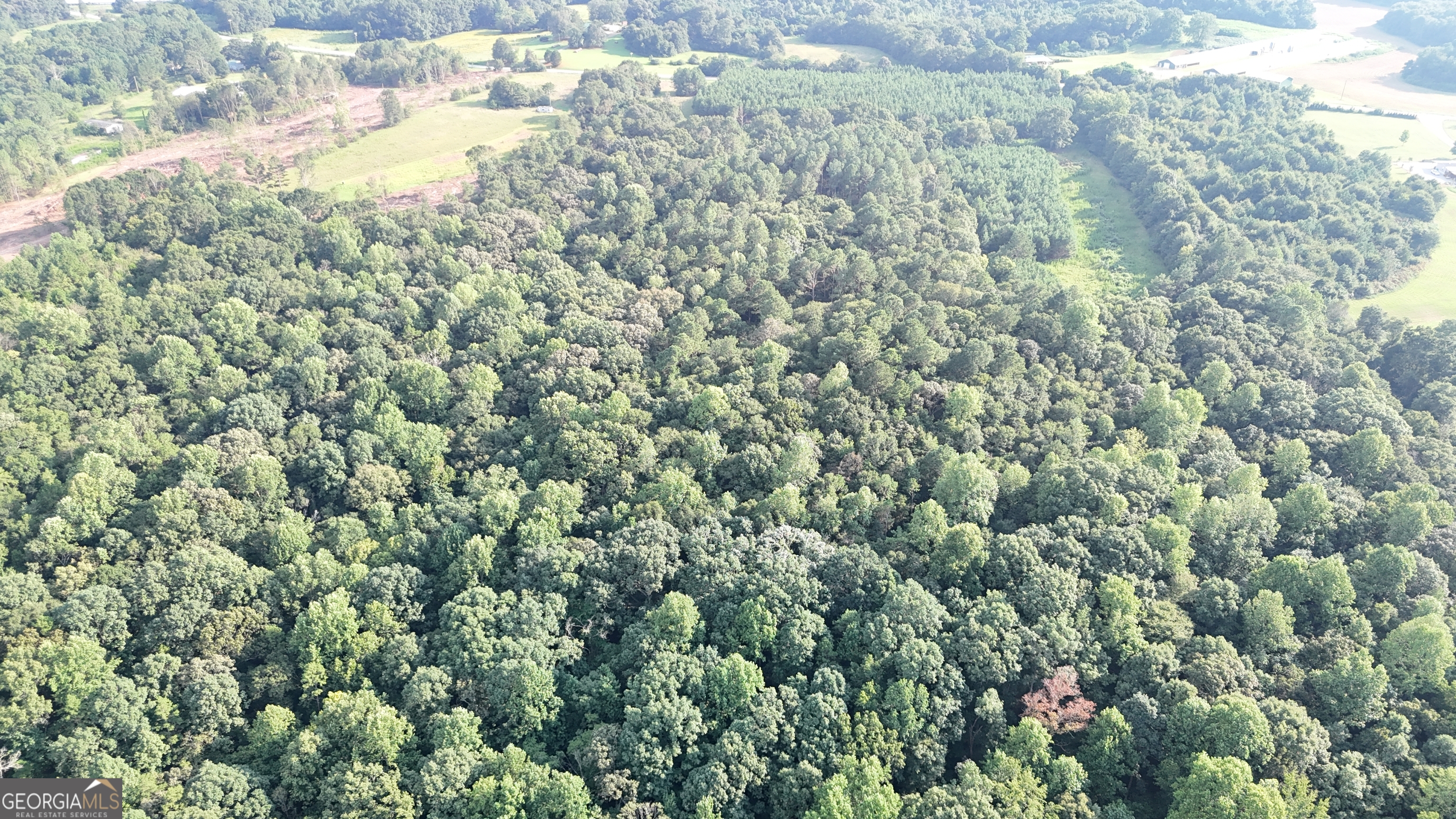 0 Pulliam Mill Road Dewy Rose, GA 30634 - Photo 7 of 9 a view of a yard with a tree