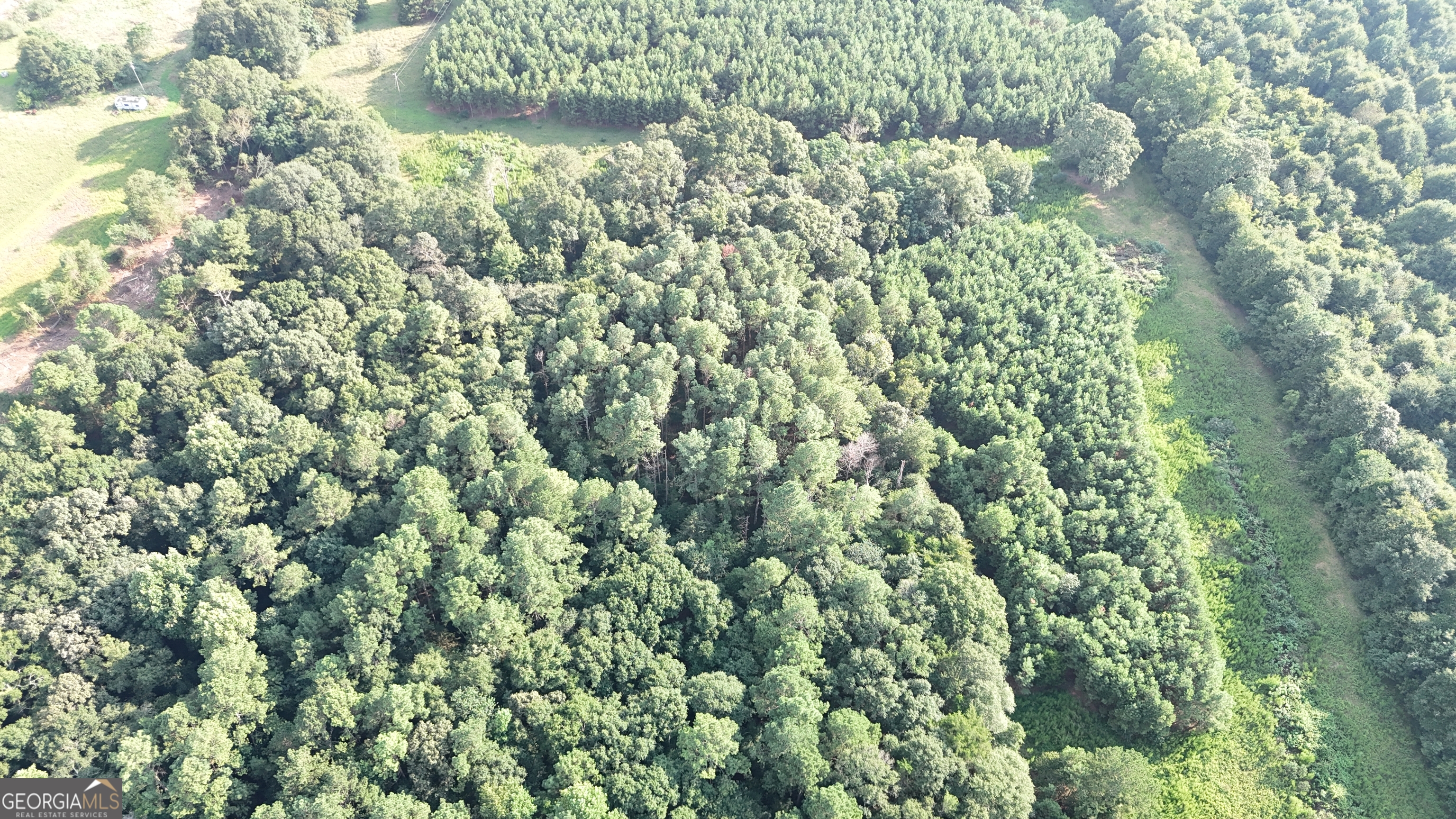0 Pulliam Mill Road Dewy Rose, GA 30634 - Photo 8 of 9 a view of a garden