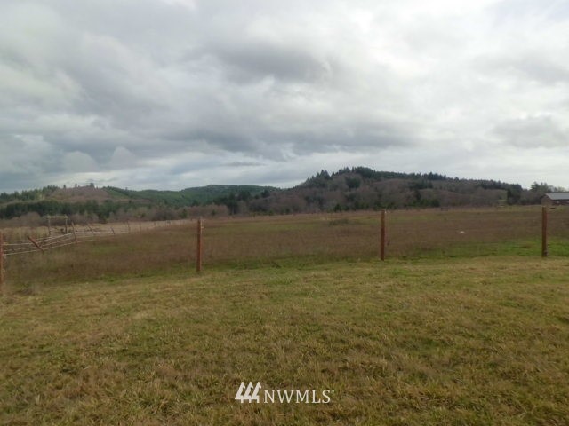 165 Mauerman Road Chehalis, WA 98532 - Photo 5 of 19