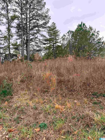 $18,000 | 0 Indian Hills Road, Hayden, AL 35079