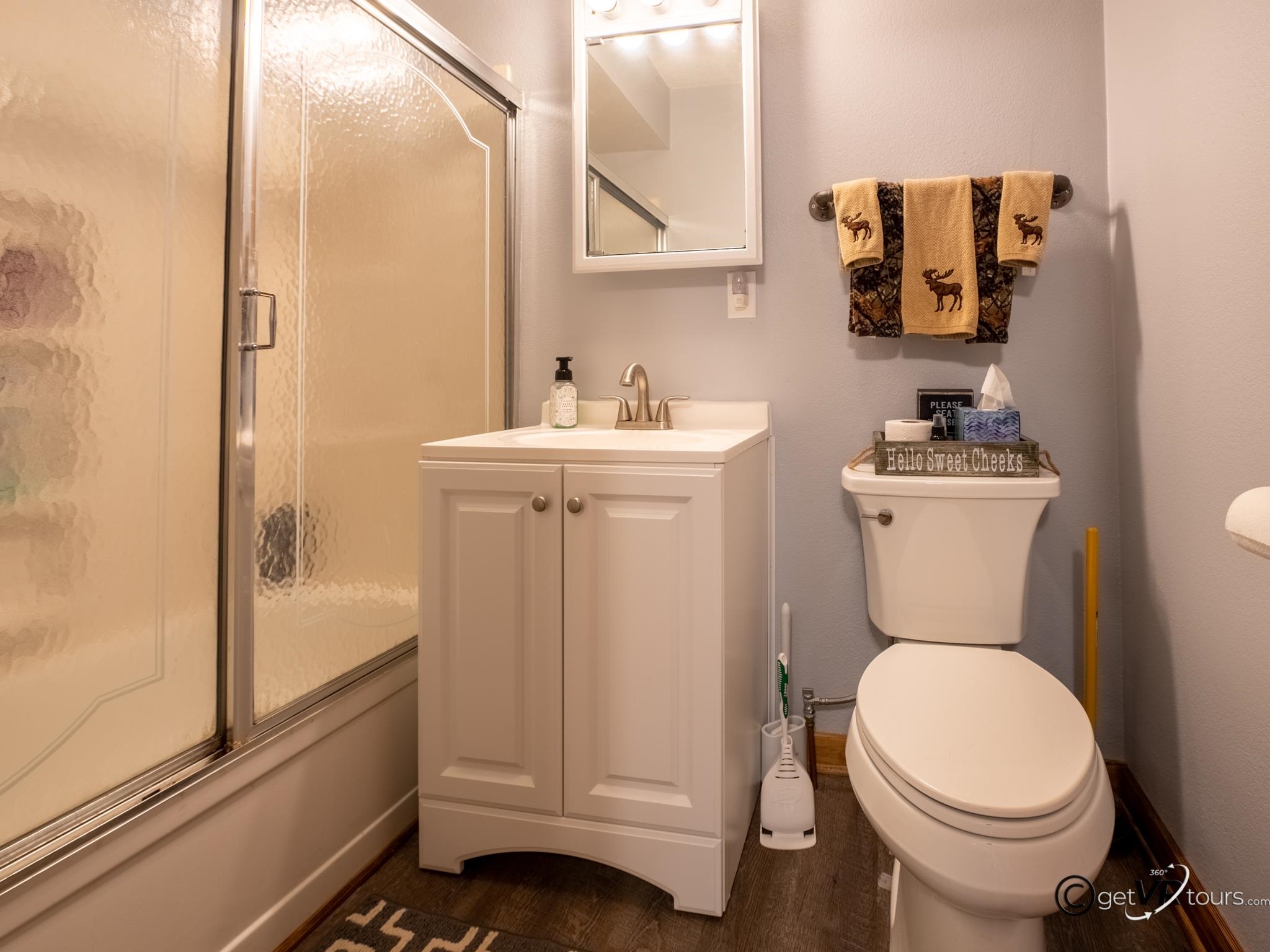 4561 East Welch Road Elizabeth, IL 61028 - Photo 12 of 60 a bathroom with a sink a toilet and a mirror