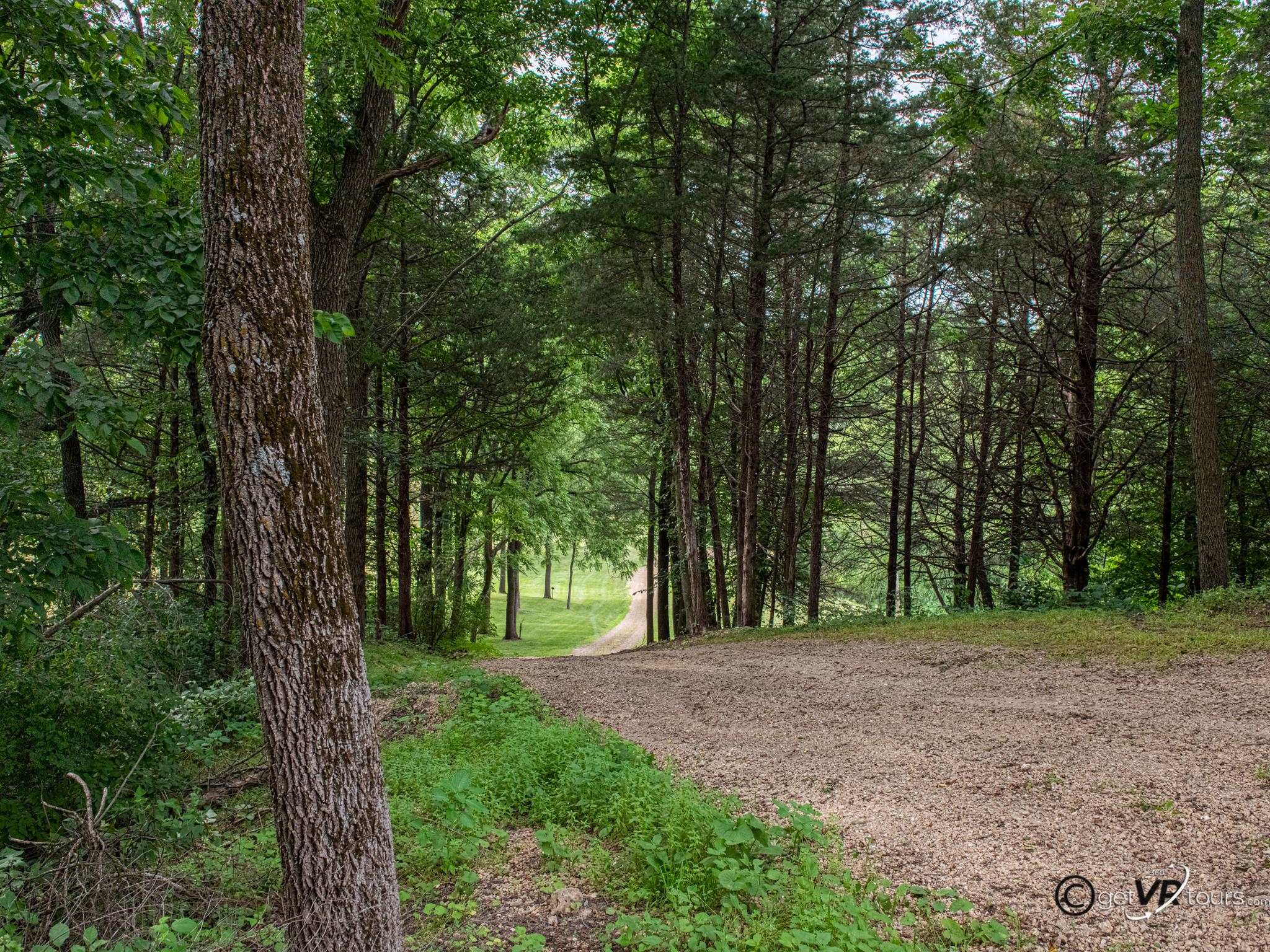 4561 East Welch Road Elizabeth, IL 61028 - Photo 25 of 60 a view of outdoor space and a trees