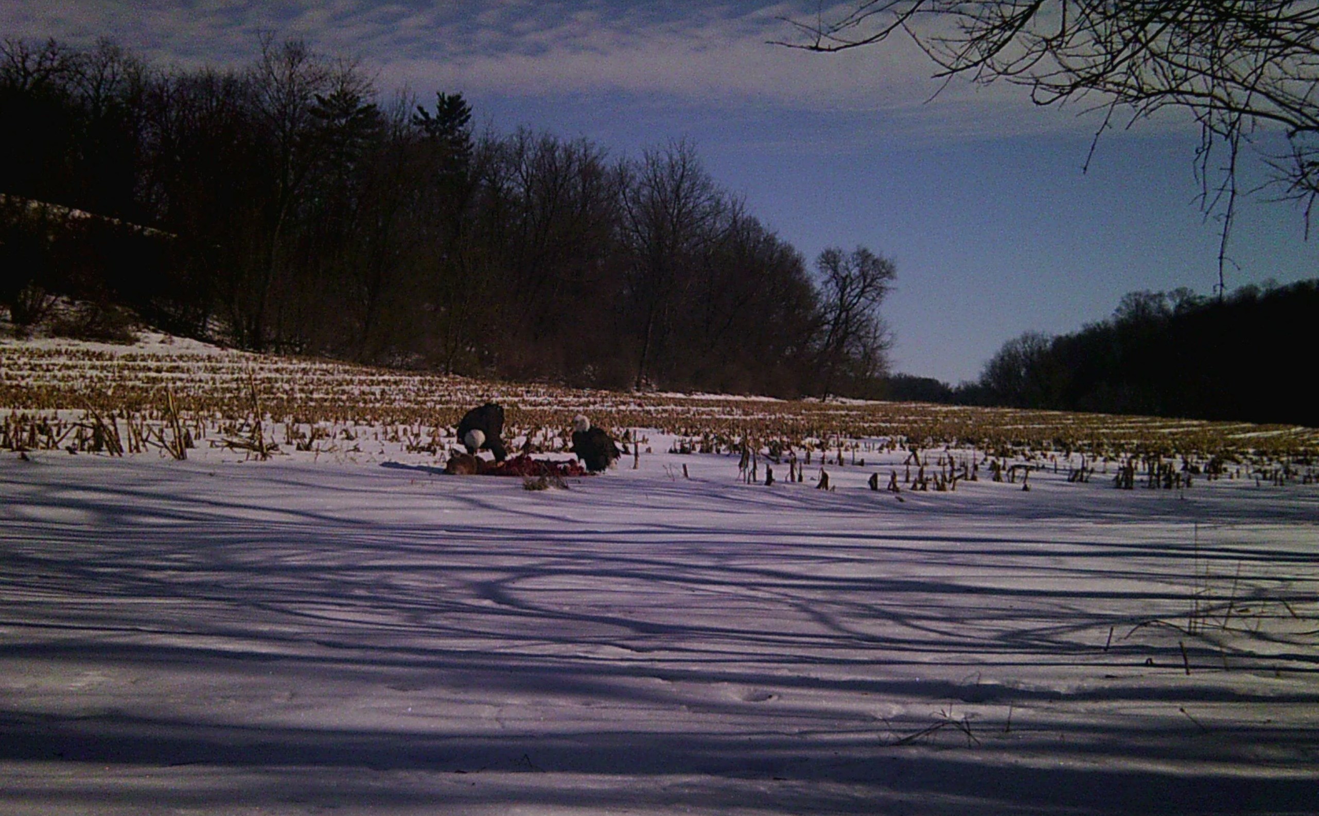 4561 East Welch Road Elizabeth, IL 61028 - Photo 43 of 60 a view of a terrace