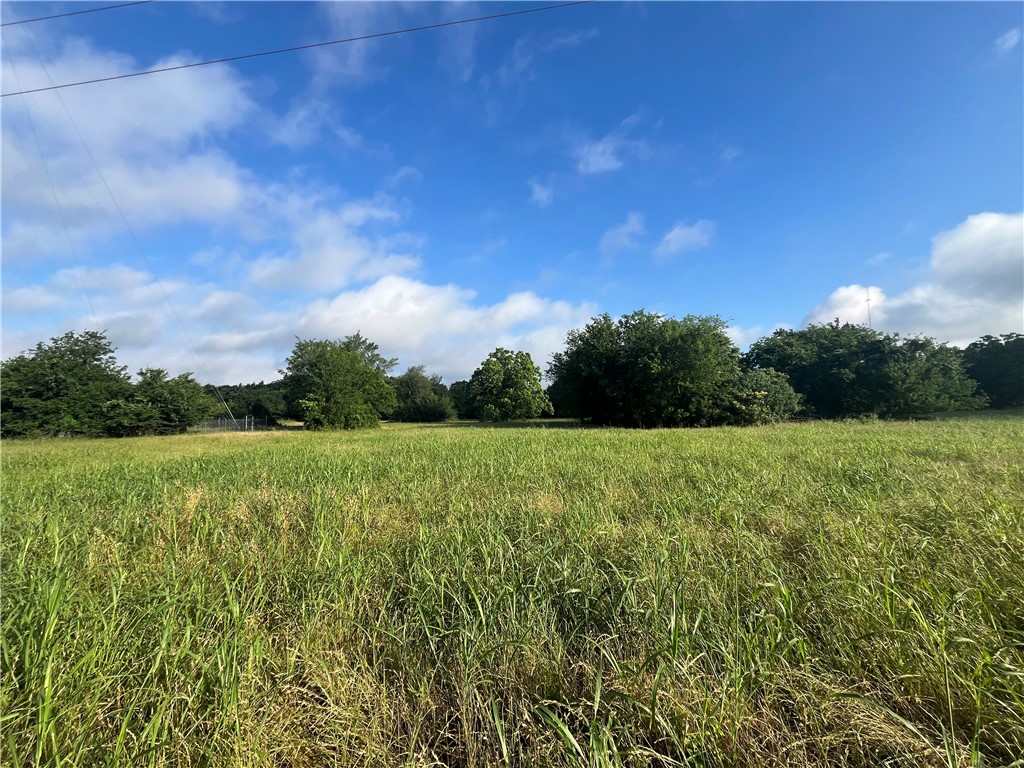 0 State Highway Calvert, TX 77837 - Photo 7 of 10 a view of a field of grass and trees