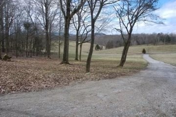 7080 Bolestown Road Alpine, TN 38543 - Photo 4 of 12 a view of a yard with a tree