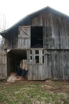 7080 Bolestown Road Alpine, TN 38543 - Photo 7 of 12 a view of front door and yard