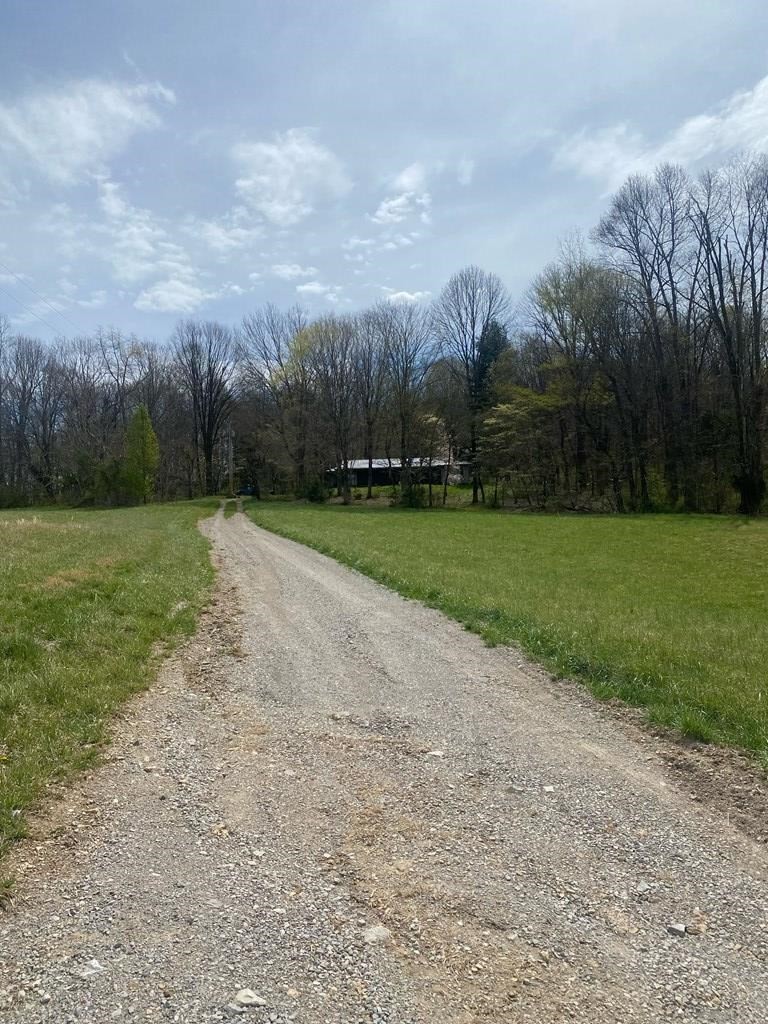 7080 Bolestown Road Alpine, TN 38543 - Photo 8 of 12 a view of a park