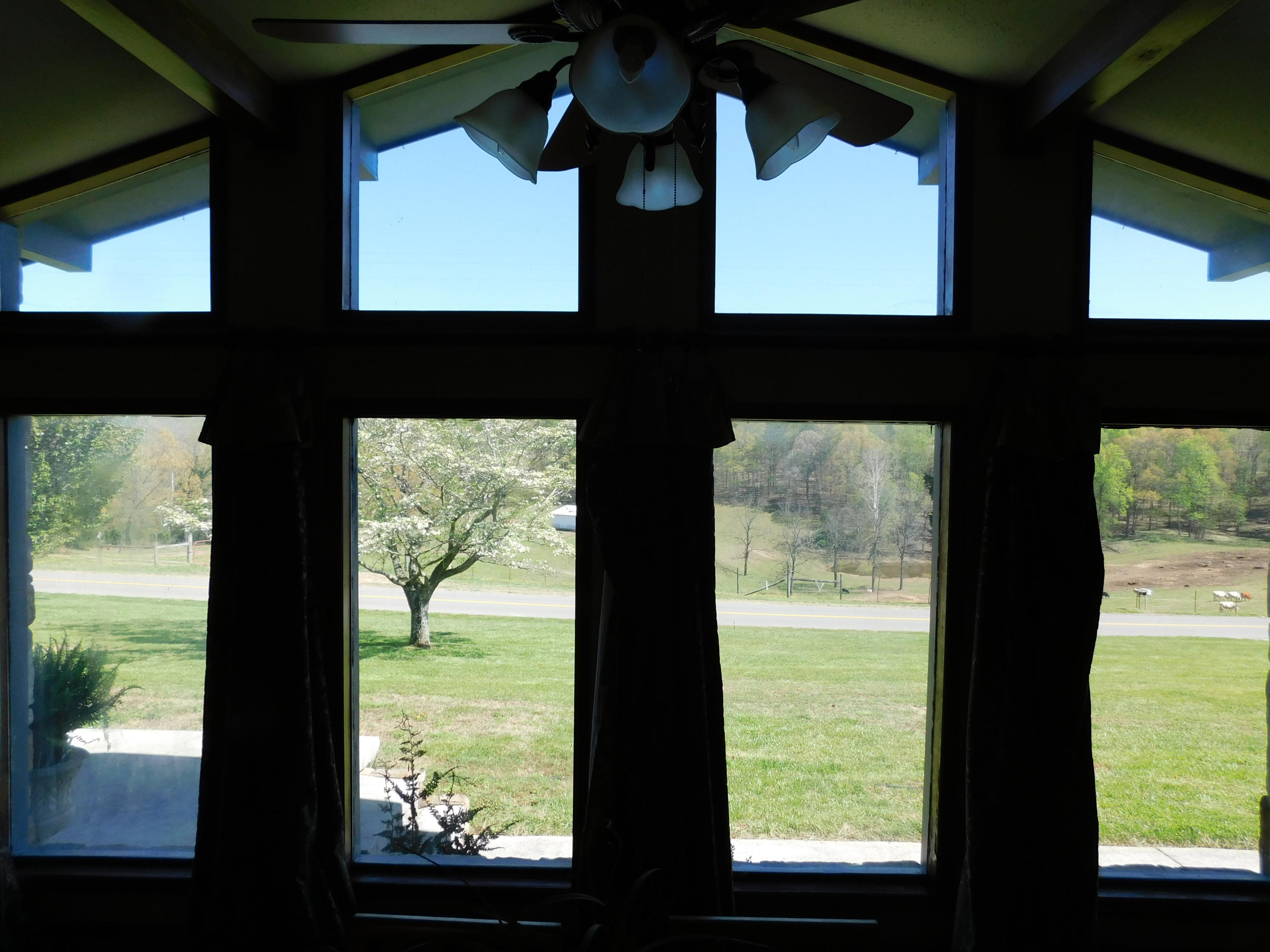547 Offutt Road Clinton, TN 37716 - Photo 21 of 24 DSCN5800