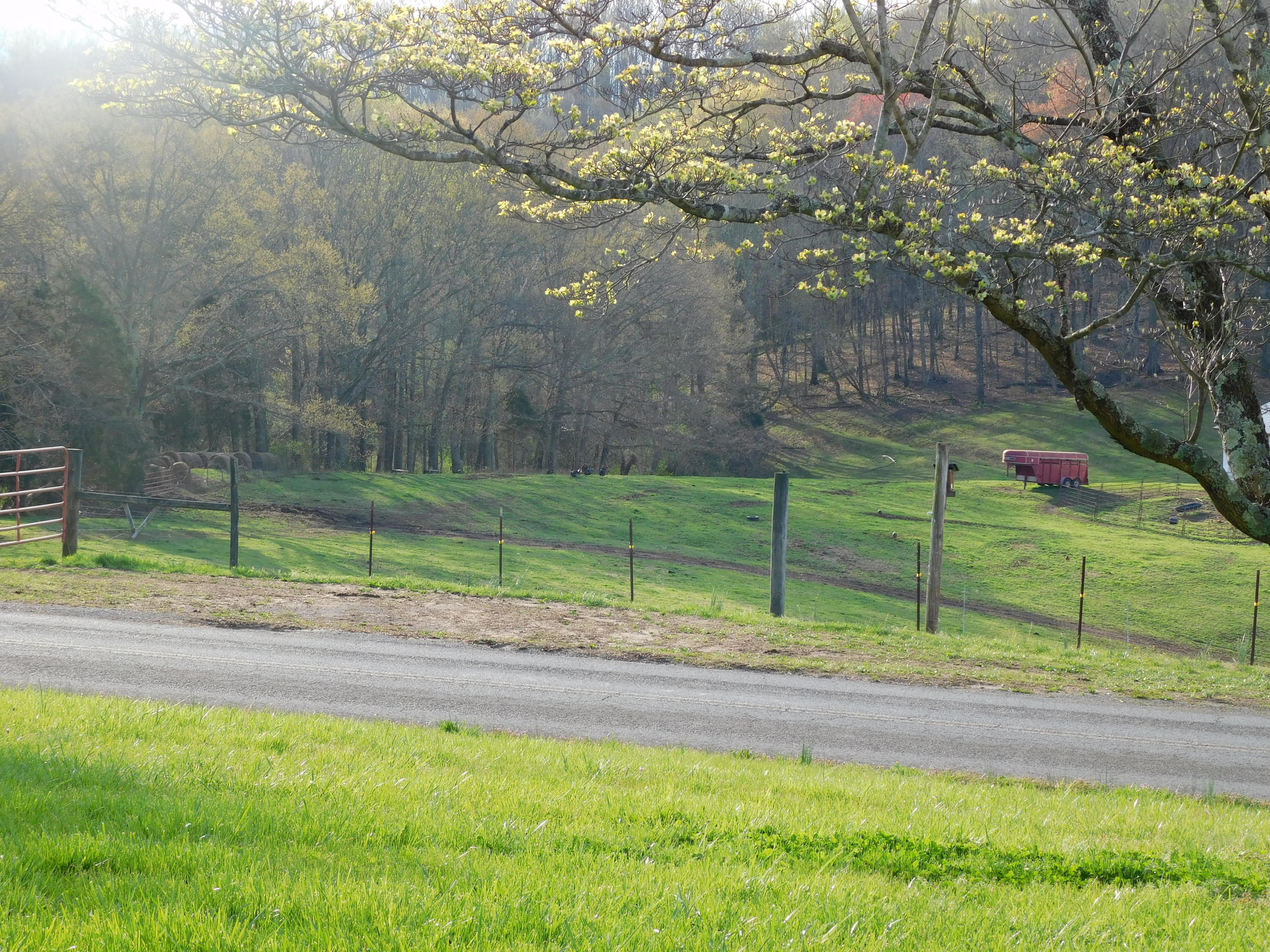 547 Offutt Road Clinton, TN 37716 - Photo 23 of 24 DSCN5631