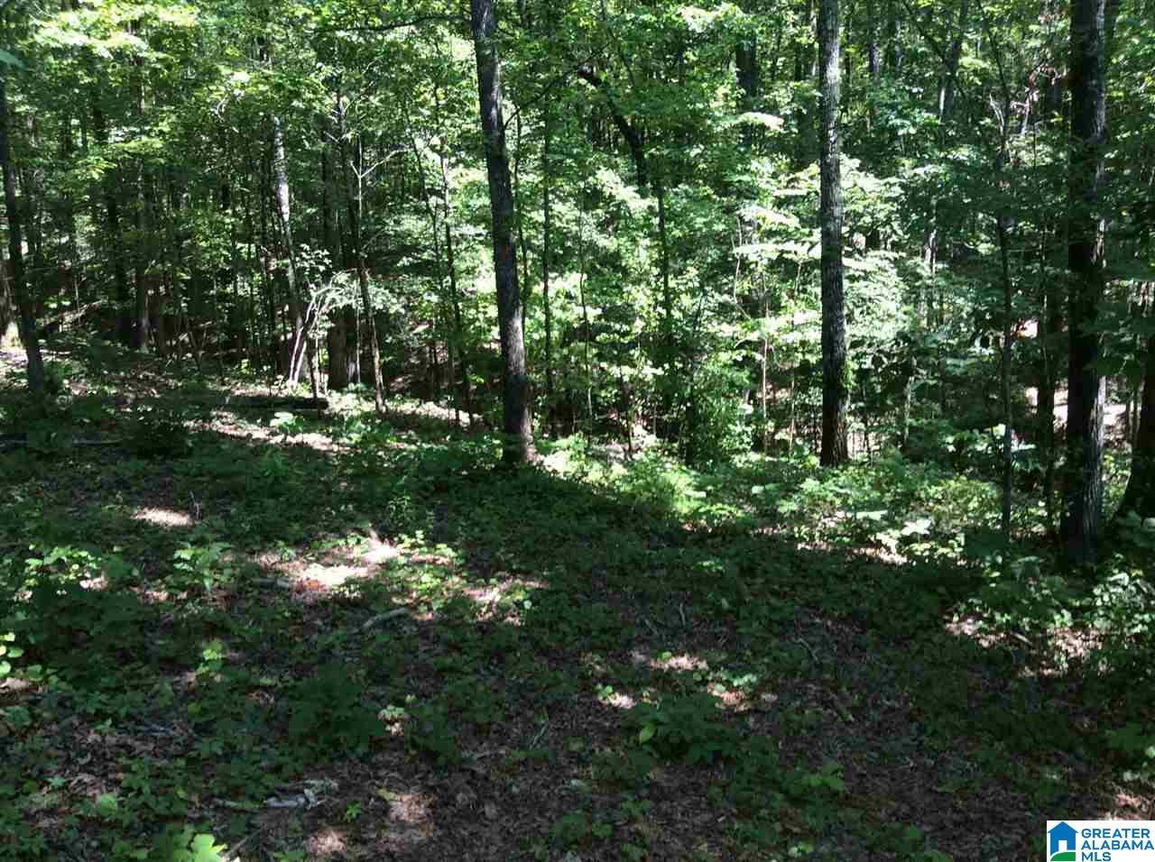 112 Greensport Road, Unit 112AC Ashville, AL 35953 - Photo 6 of 12