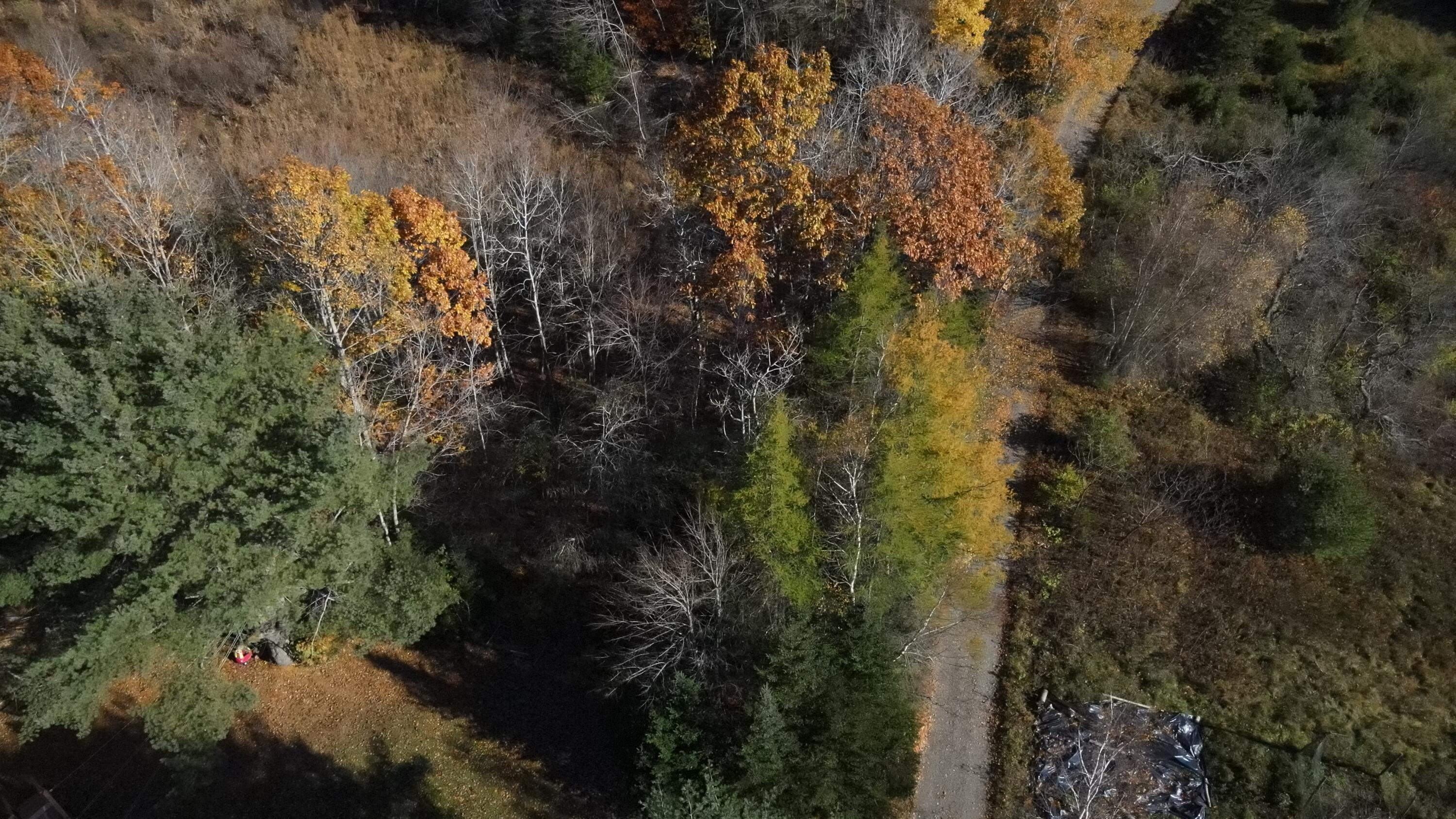 0 Lower Dedham Road Holden, ME 04429 - Photo 46 of 58 Photo_1080295860_DJI_436_jpg_5234940_0_2