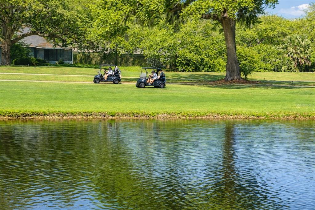 3637 Downfield Place, Unit 402 New Port Richey, FL 34655 - Photo 28 of 39 a view of a lake with a big yard