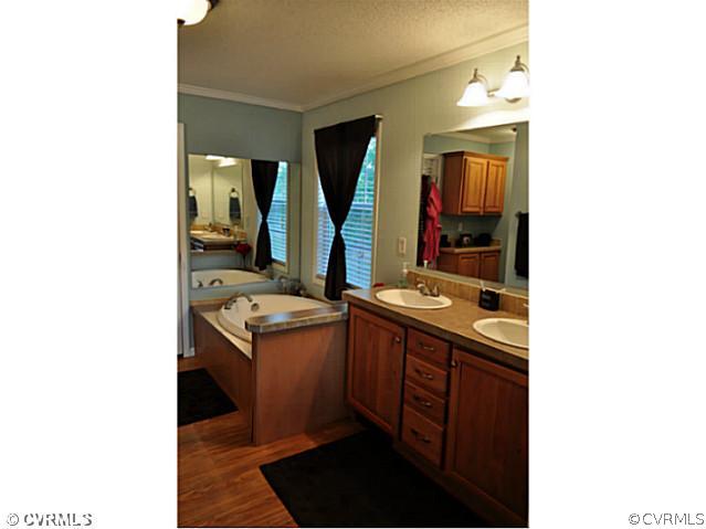 22950 Johnson Road Jetersville, VA 23083 - Photo 12 of 24 Master Bath