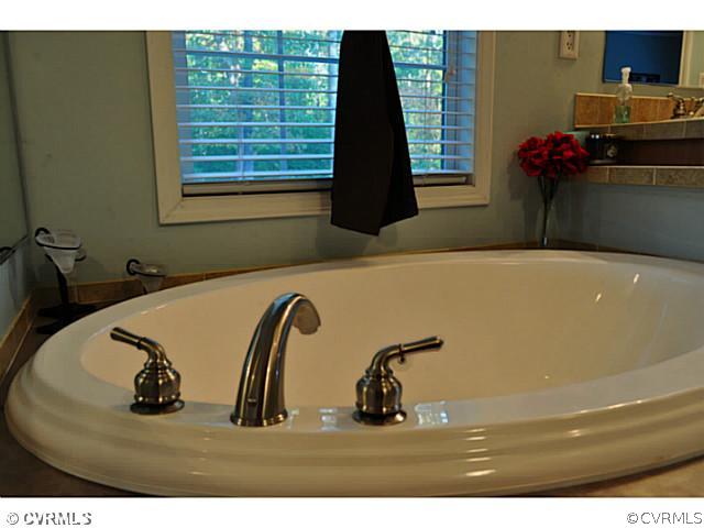 22950 Johnson Road Jetersville, VA 23083 - Photo 13 of 24 Master Bath