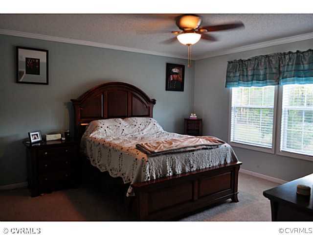 22950 Johnson Road Jetersville, VA 23083 - Photo 9 of 24 Master Bedroom