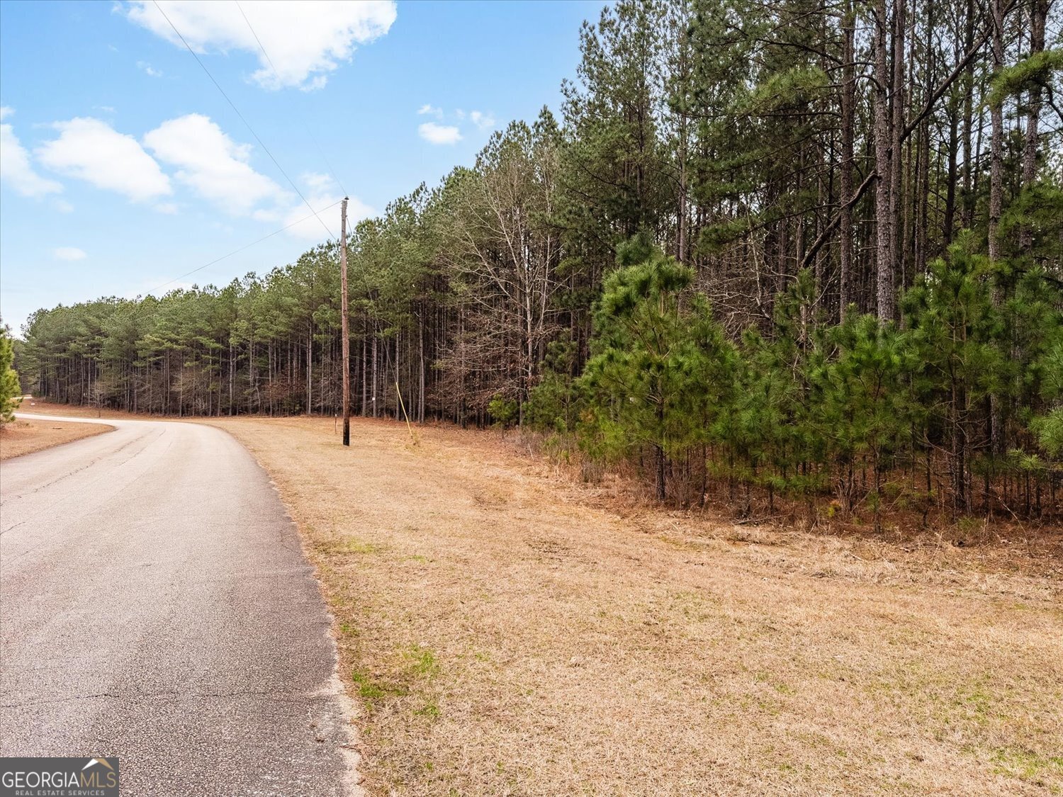 1004 Hester S Ferry Road Tignall, GA 30668 - Photo 11 of 19 a view of backyard space