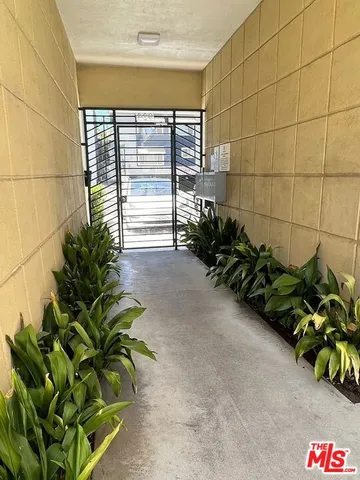 a view of a bunch of flowers