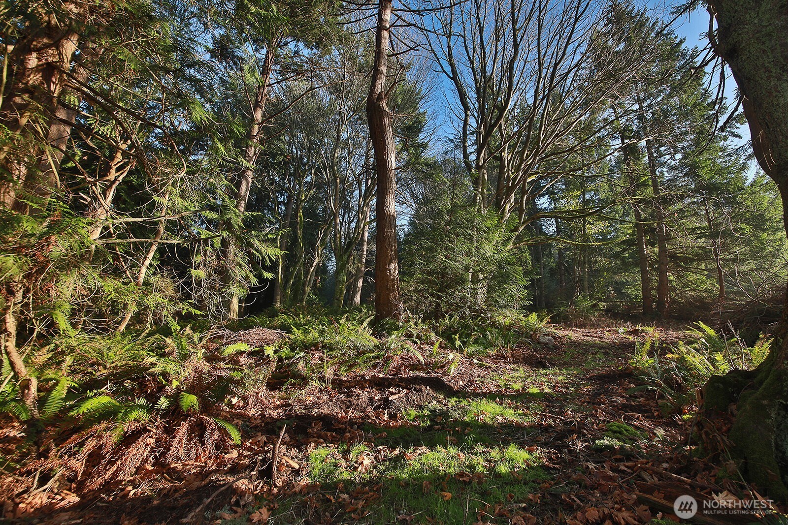 -xxx Cultus Bay Road Clinton, WA 98236 - Photo 11 of 30
