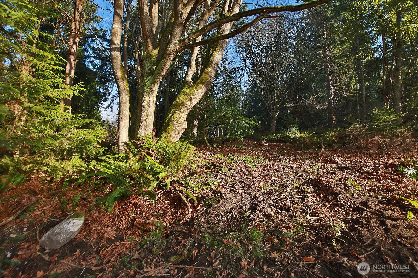 -xxx Cultus Bay Road Clinton, WA 98236 - Photo 12 of 30