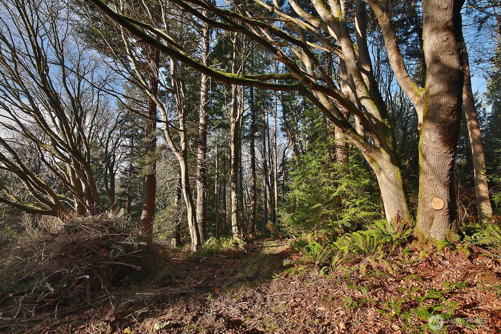 -xxx Cultus Bay Road Clinton, WA 98236 - Photo 13 of 30