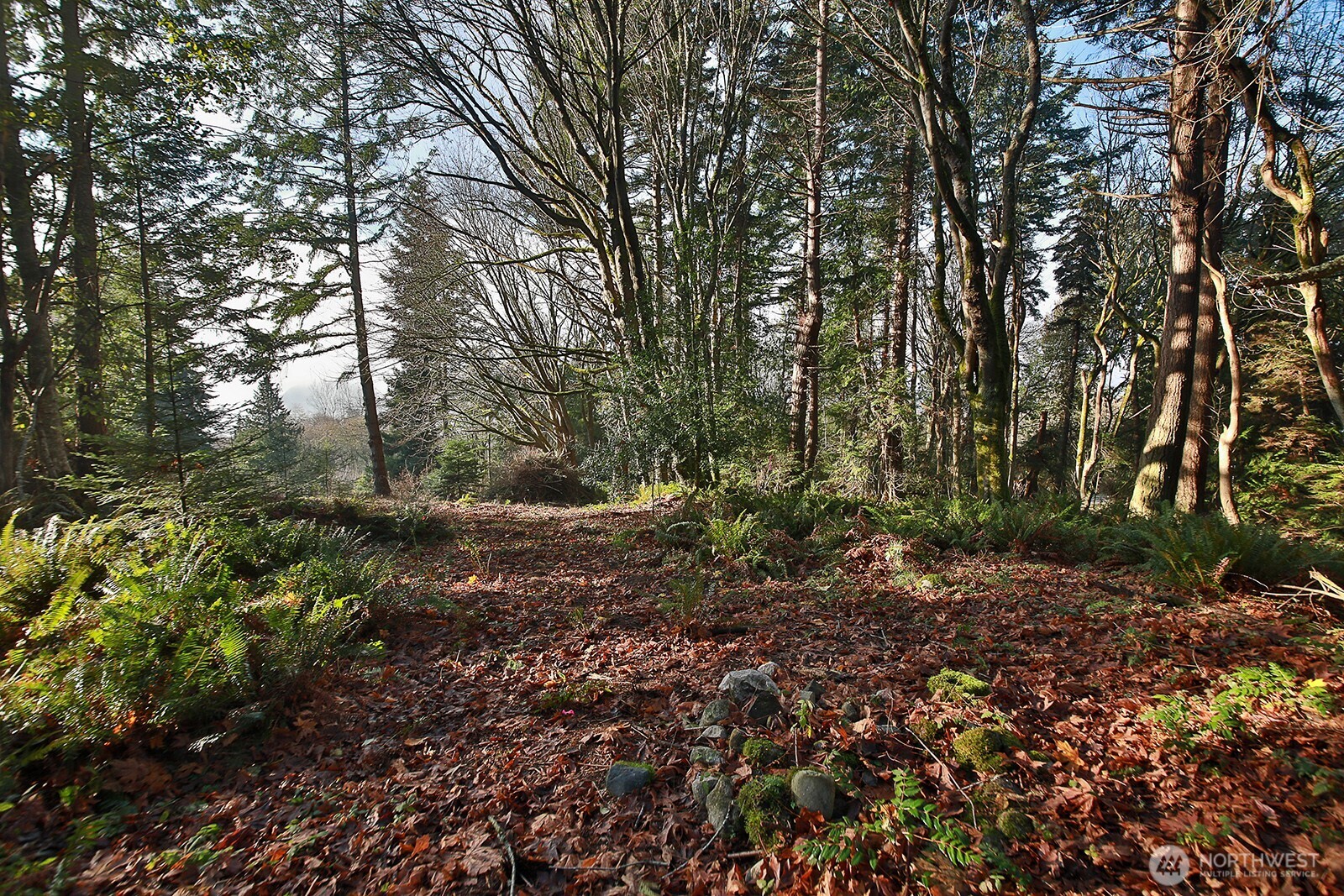-xxx Cultus Bay Road Clinton, WA 98236 - Photo 15 of 30