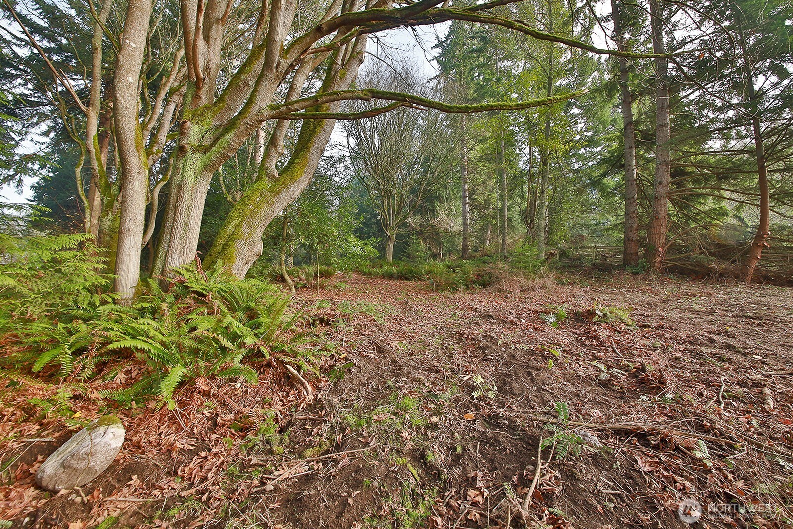 -xxx Cultus Bay Road Clinton, WA 98236 - Photo 18 of 30
