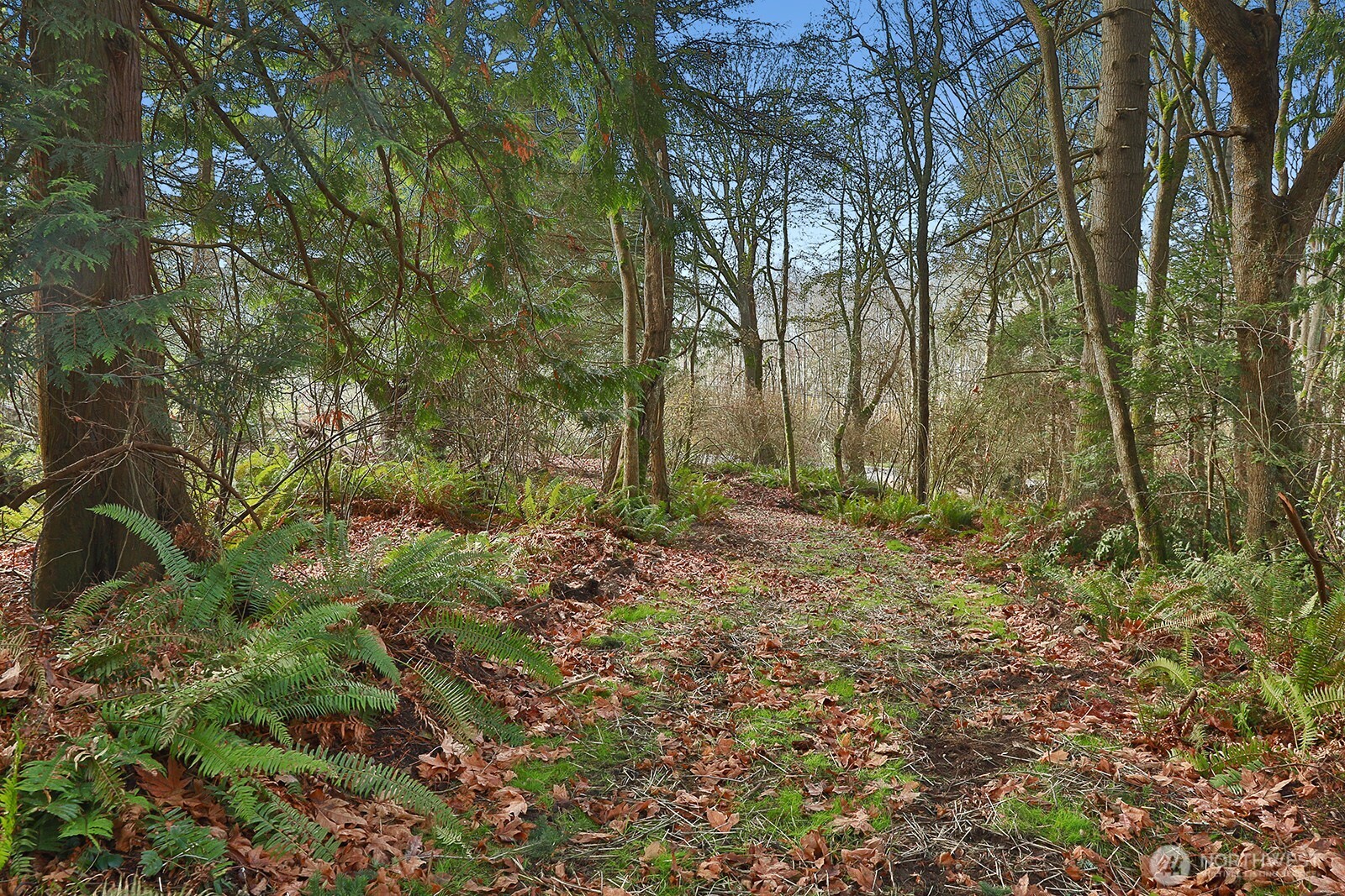 -xxx Cultus Bay Road Clinton, WA 98236 - Photo 19 of 30