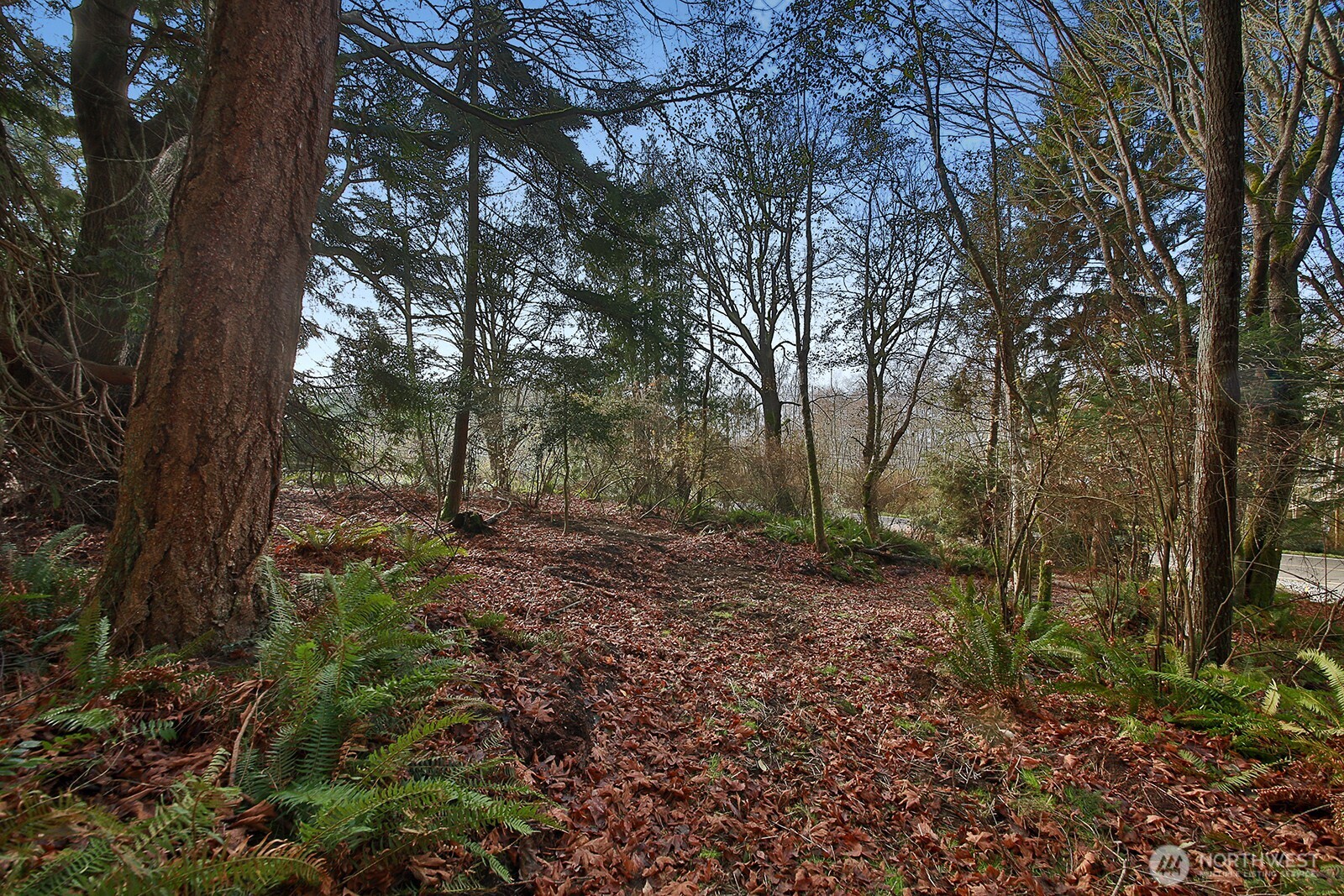-xxx Cultus Bay Road Clinton, WA 98236 - Photo 20 of 30