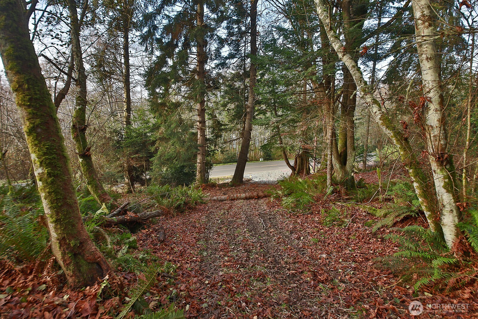 -xxx Cultus Bay Road Clinton, WA 98236 - Photo 21 of 30