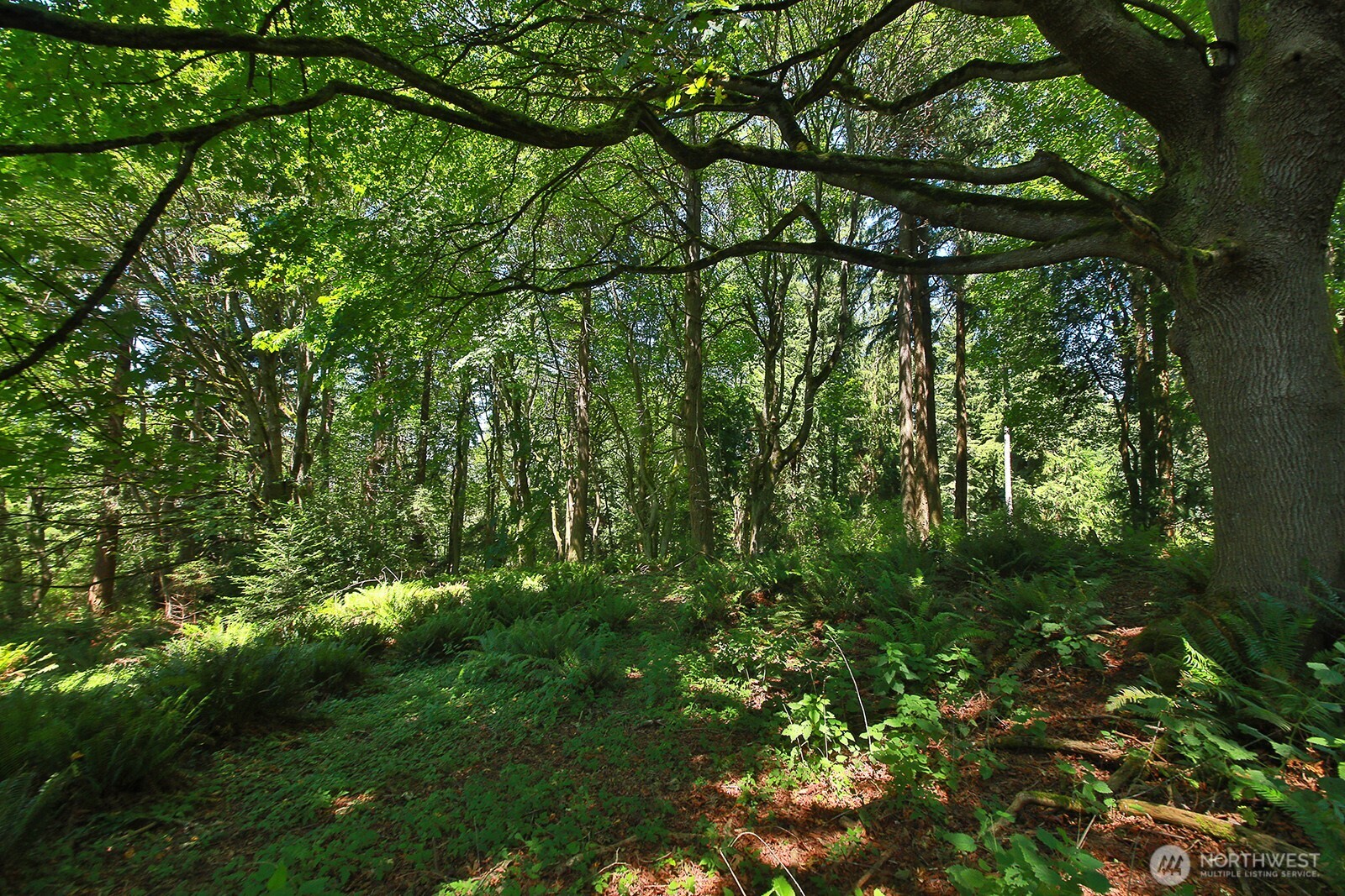 -xxx Cultus Bay Road Clinton, WA 98236 - Photo 30 of 30