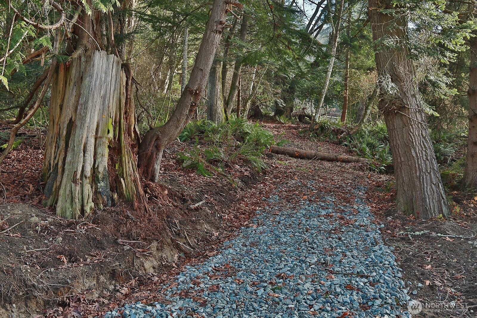 -xxx Cultus Bay Road Clinton, WA 98236 - Photo 4 of 30