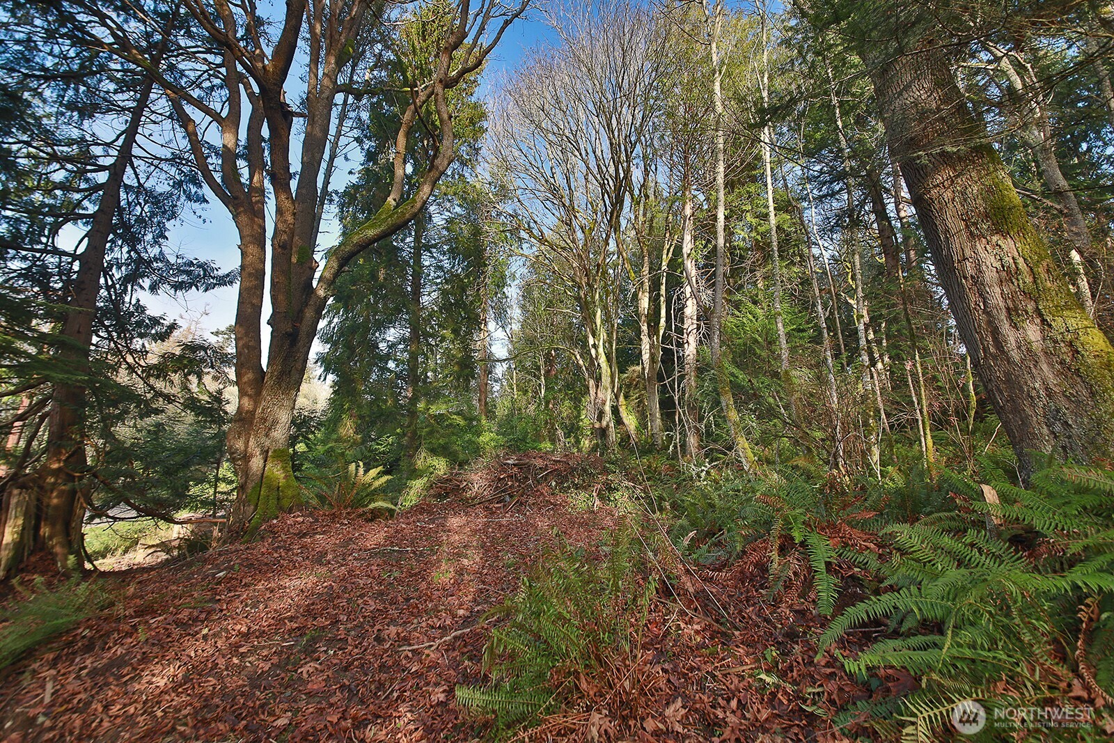 -xxx Cultus Bay Road Clinton, WA 98236 - Photo 6 of 30