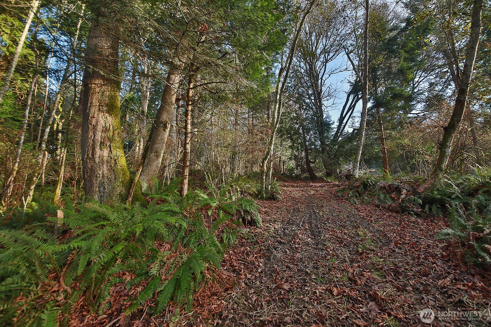 -xxx Cultus Bay Road Clinton, WA 98236 - Photo 7 of 30