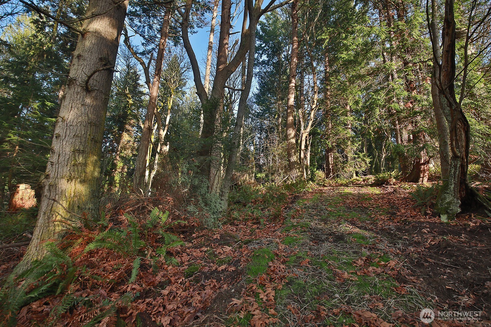 -xxx Cultus Bay Road Clinton, WA 98236 - Photo 8 of 30