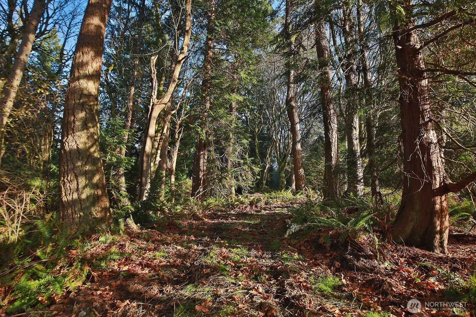 -xxx Cultus Bay Road Clinton, WA 98236 - Photo 9 of 30