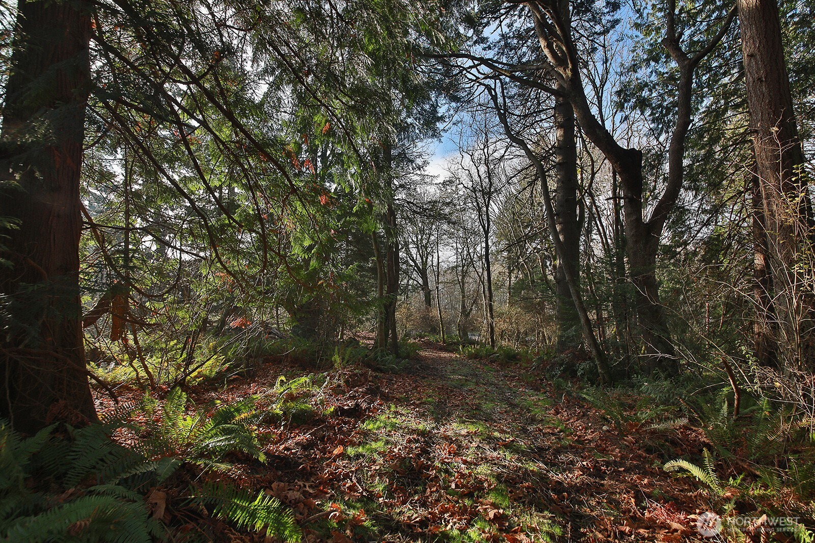 -xxx Cultus Bay Road Clinton, WA 98236 - Photo 10 of 30