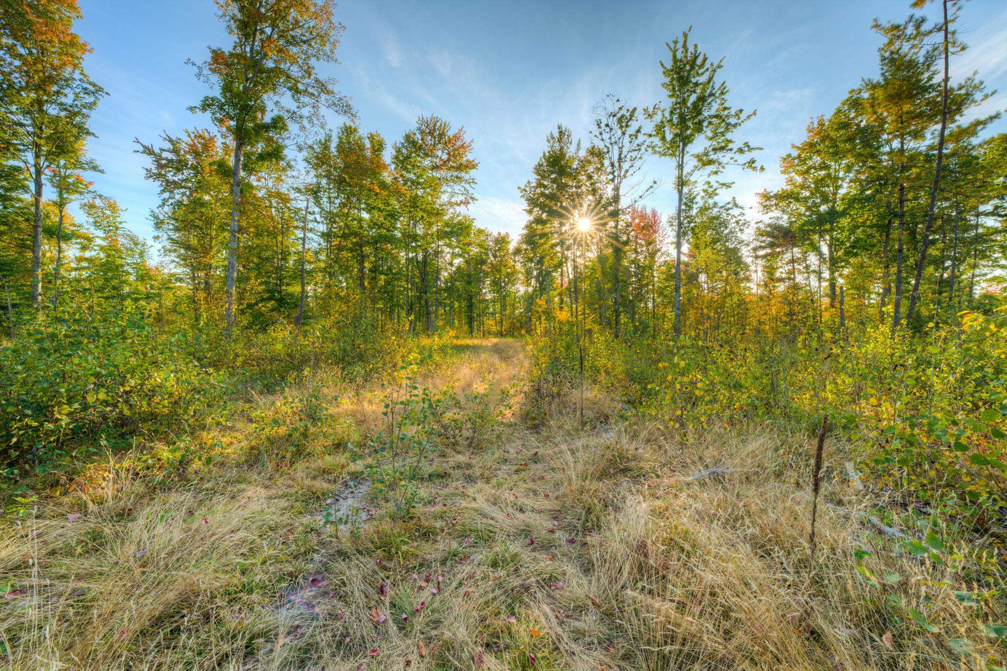 755 North Carmean Road Interlochen, MI 49643 - Photo 32 of 65