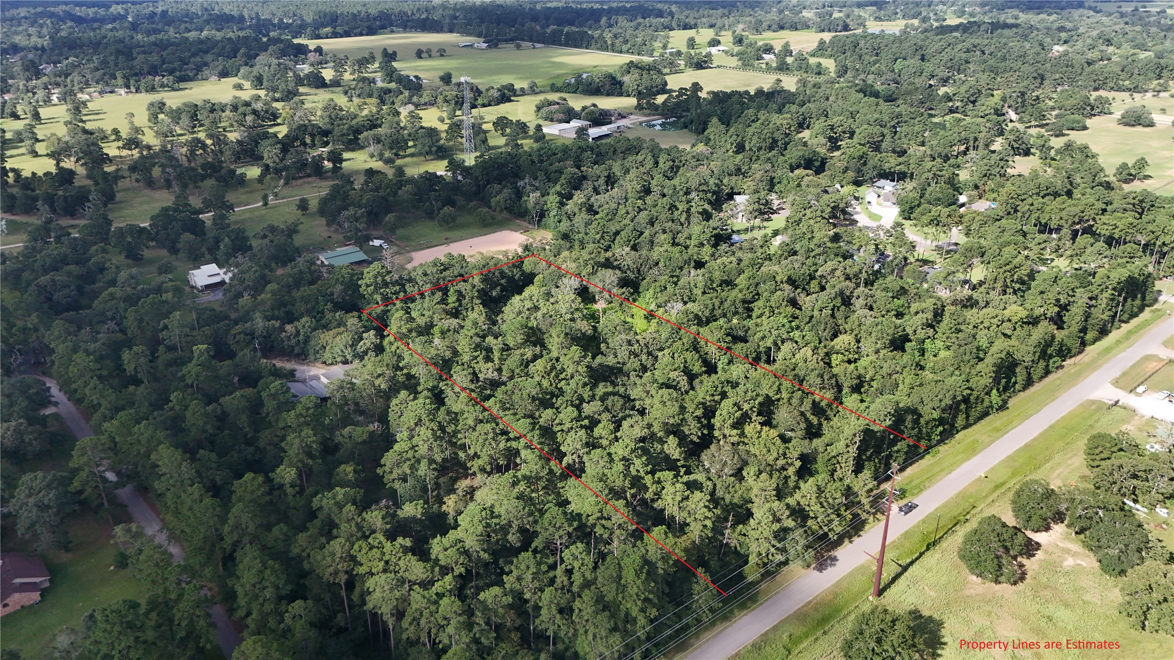 a view of a forest from a balcony