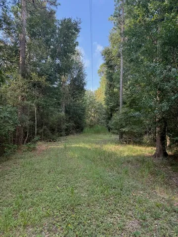 a view of outdoor space and yard