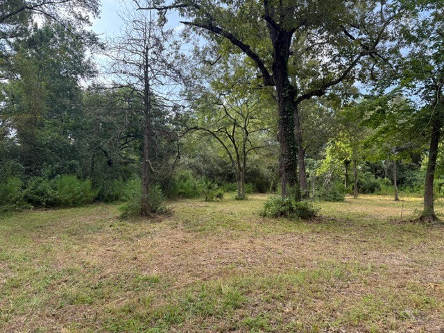 25571 Kimbro Road Hockley, TX 77447 - Photo 3 of 6 a view of outdoor space with trees